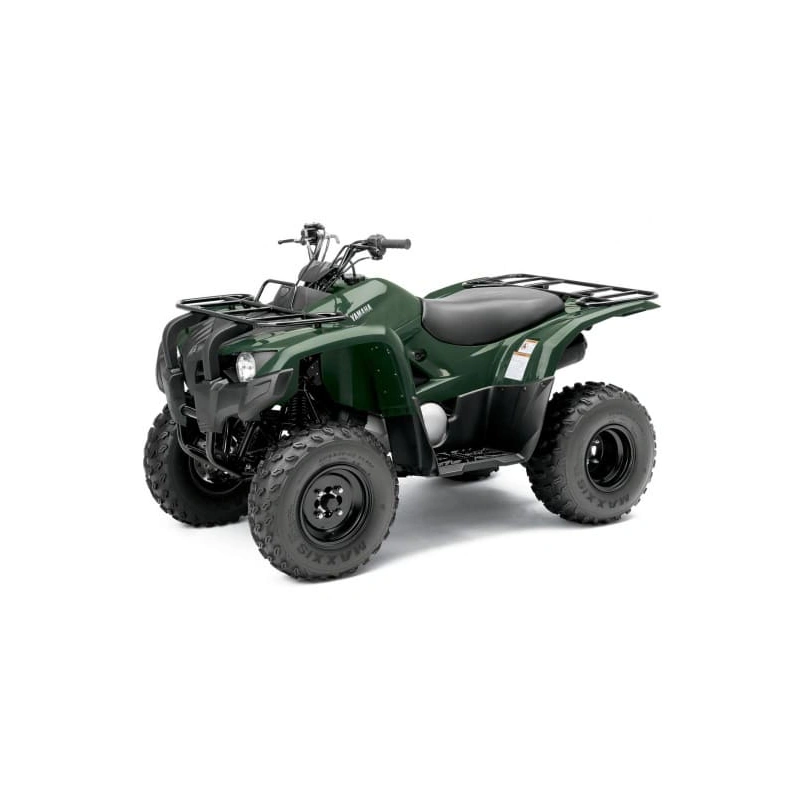 Квадроцикл YAMAHA Segway 300