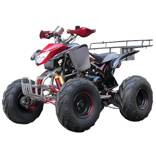 Квадроцикл BISON Raptor 150 Sport