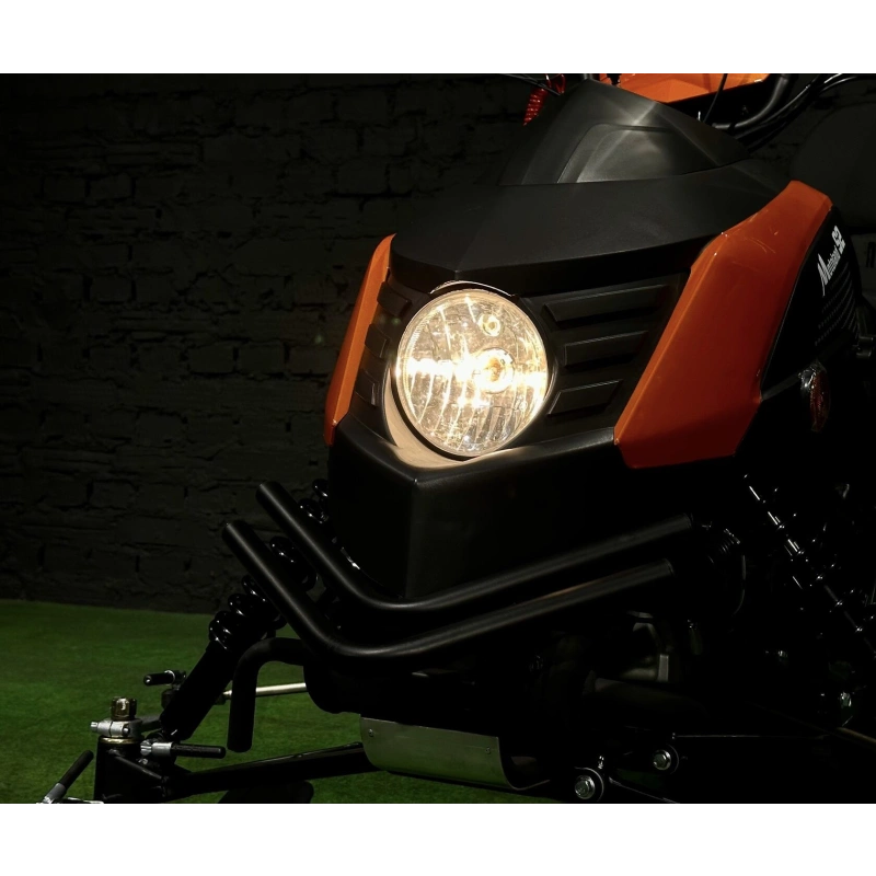 Снегоход MOTOLAND Snowfox 200