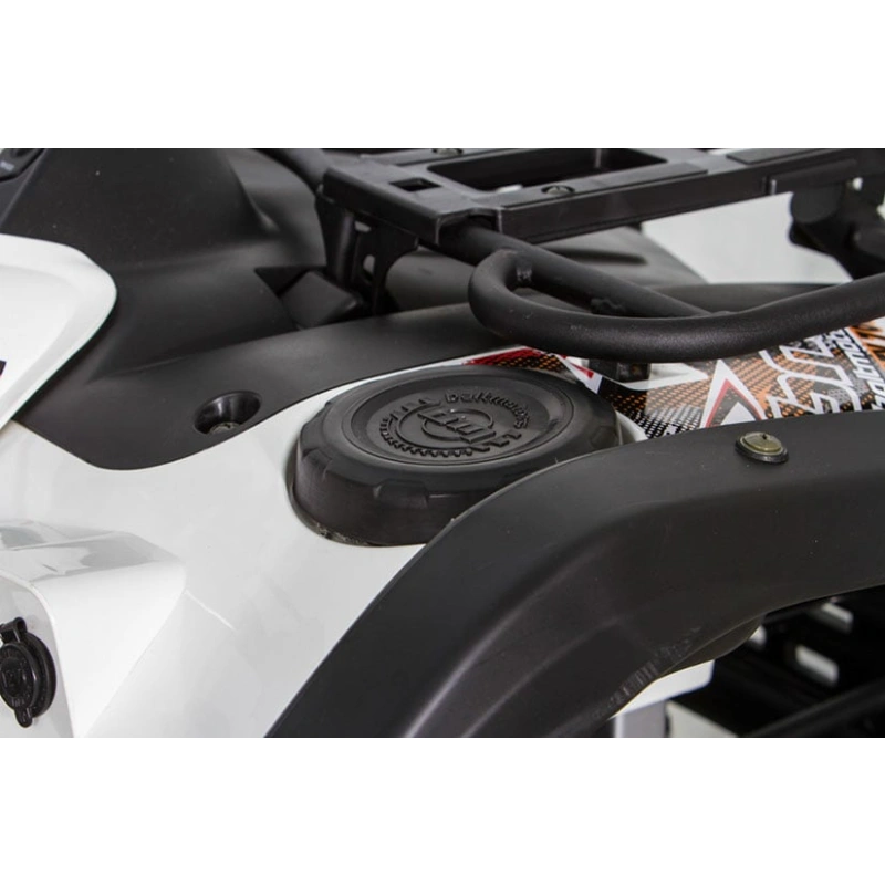 Квадроцикл BALTMOTORS Striker 500 EFI