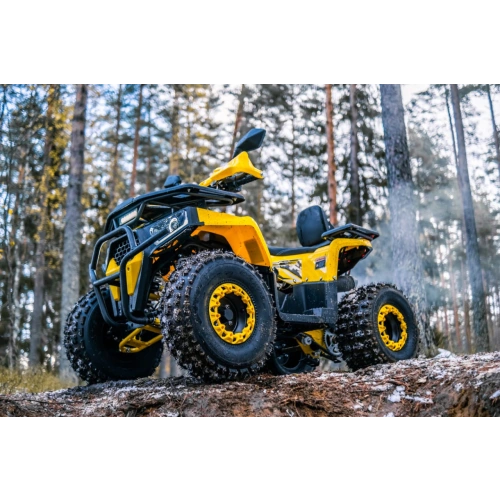 Квадроцикл WELS Thunder Trail 125 Pro