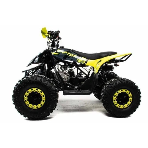 Квадроцикл MOTOLAND 125 Raptor