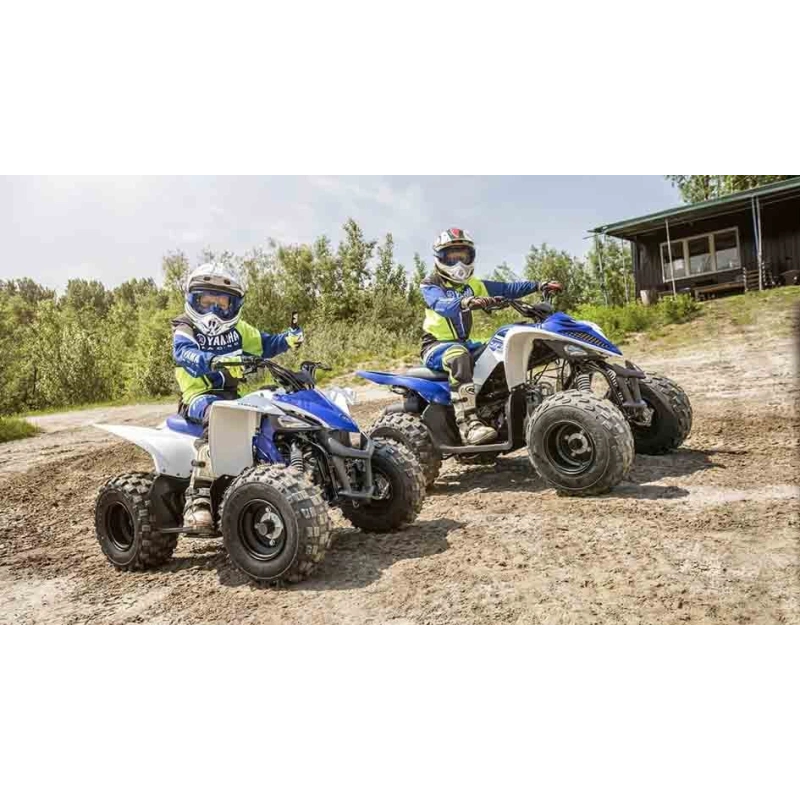 Квадроцикл YAMAHA YFM90R (Raptor 90)