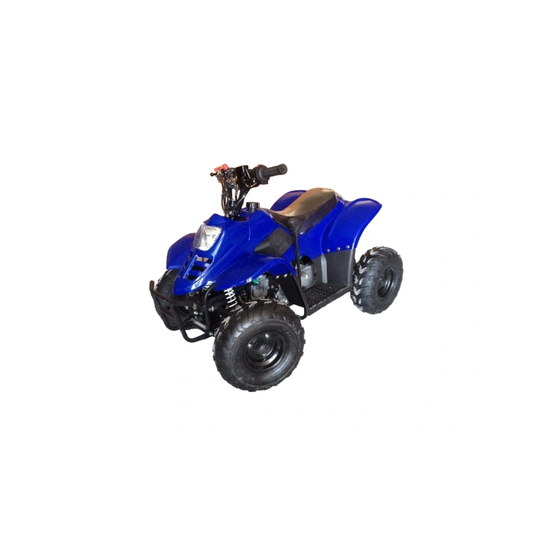 Квадроцикл RAPTOR 110