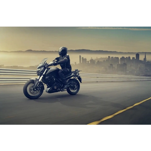 Мотоцикл BAJAJ Dominar 400 NEW DTS-I