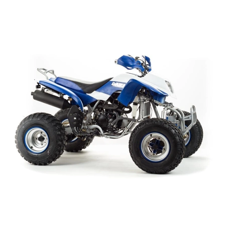 Квадроцикл MOTOLAND 250 Dakar
