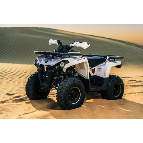 Квадроцикл SHARMAX Hummer 300