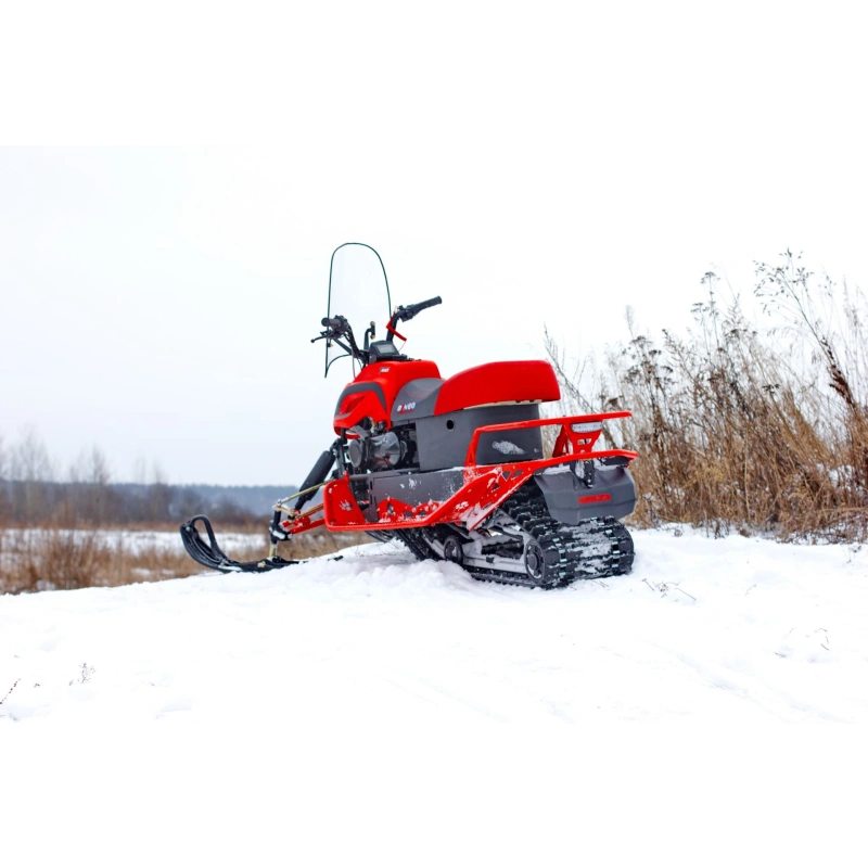 Снегоход IRBIS Dingo T150