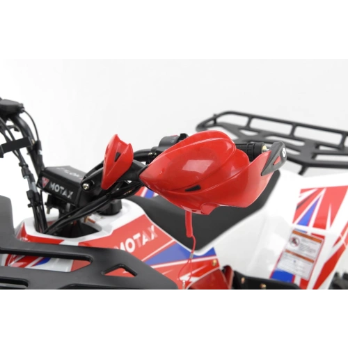 Квадроцикл MOTAX Grizlik A125