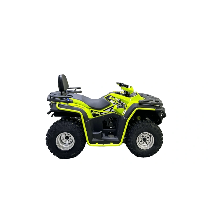 Квадроцикл BISON 330