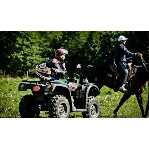 Квадроцикл BALTMOTORS Striker 700 EFI (ПСМ)
