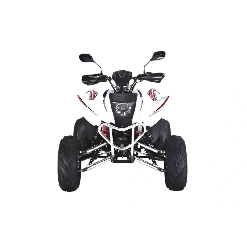Квадроцикл RATO RТ250SТ-2