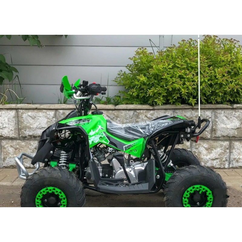 Квадроцикл YACOTA Renegade Mini