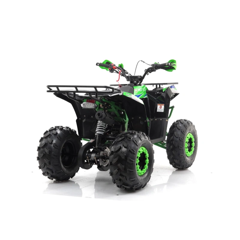 Квадроцикл MOTAX Grizlik A125