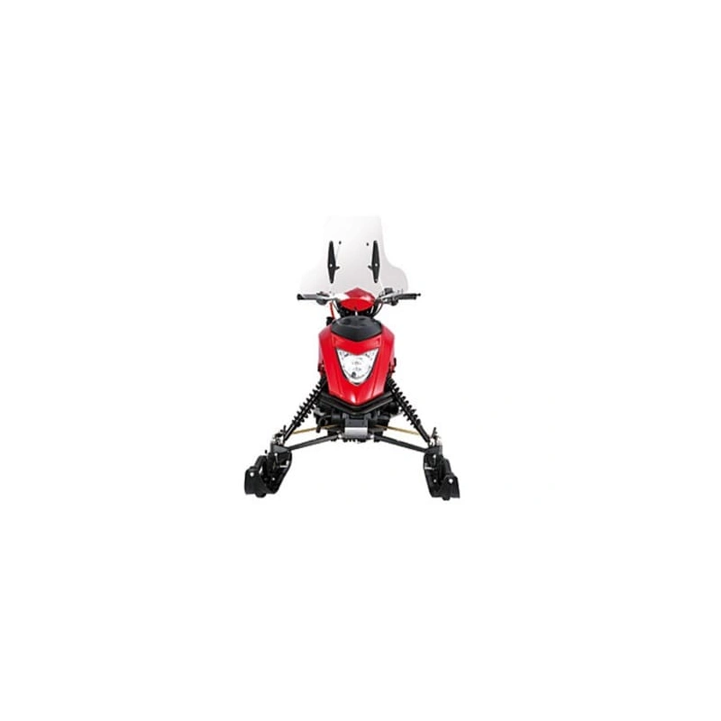 Снегоход REGULMOTO Raccoon разборный