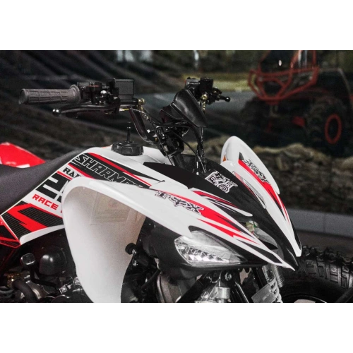 Квадроцикл SHARMAX Raizer Race Cup 250