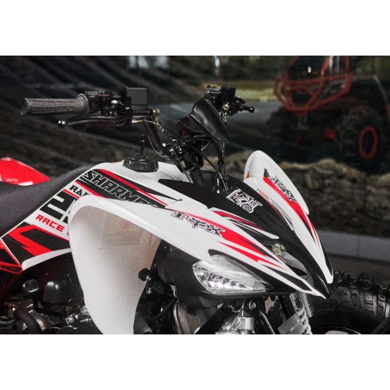 Квадроцикл SHARMAX Raizer Race Cup 250