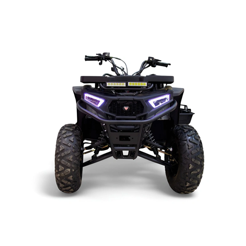Квадроцикл MOTAX Grizlik W200