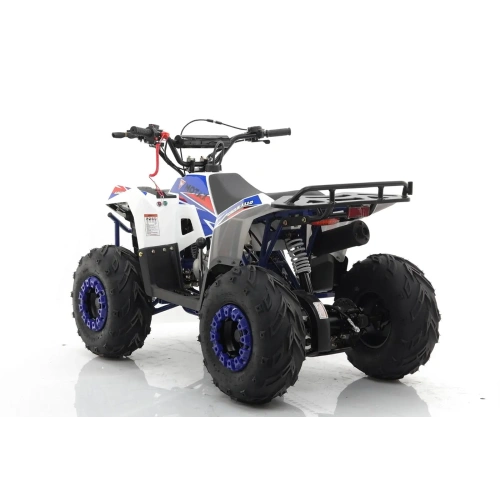Квадроцикл MOTAX Grizlik A110