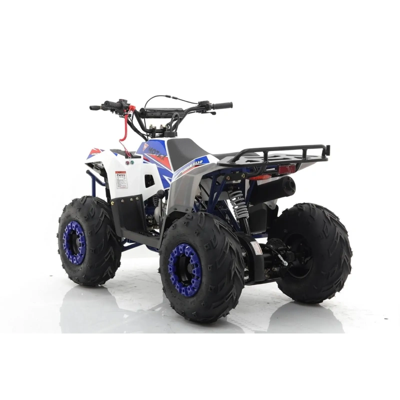 Квадроцикл MOTAX Grizlik A110
