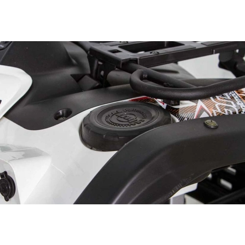 Квадроцикл BALTMOTORS Striker 700 EFI (ПСМ)