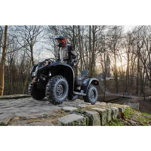 Квадроцикл BALTMOTORS Striker 500 EFI