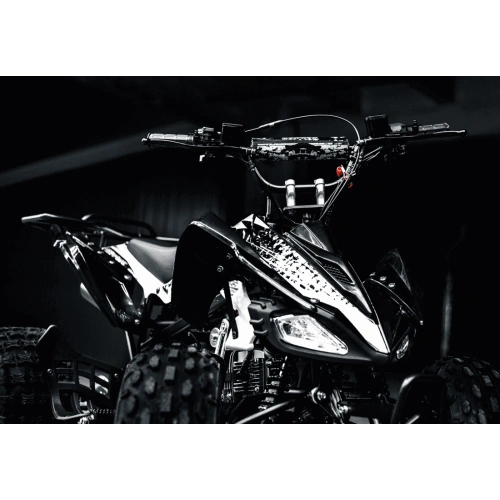 Квадроцикл BSE XT1 Black