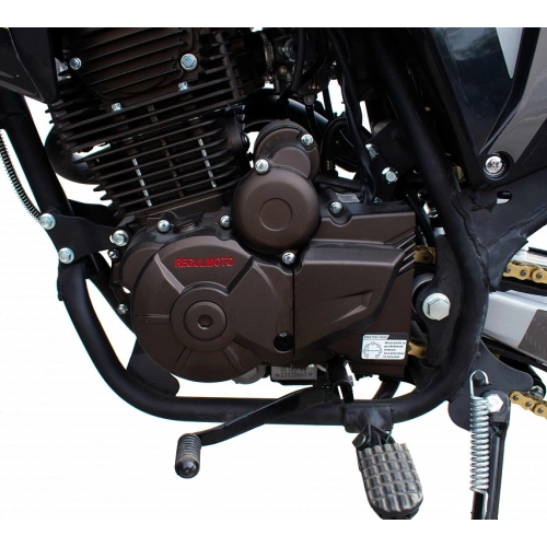 Мотоцикл REGULMOTO TE 250 PR ТУРЭНДУРО