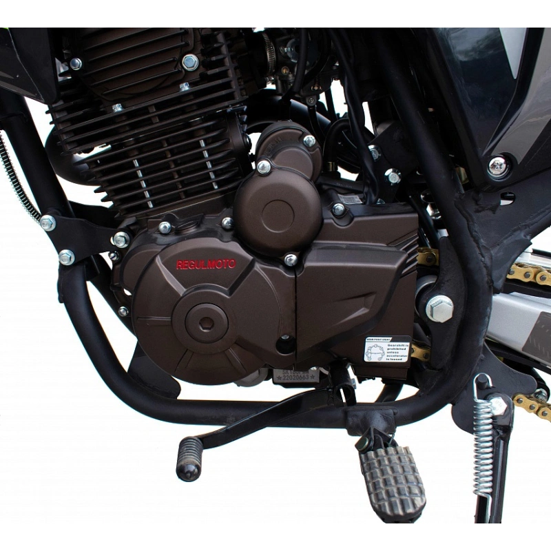 Мотоцикл REGULMOTO TE 250 PR ТУРЭНДУРО