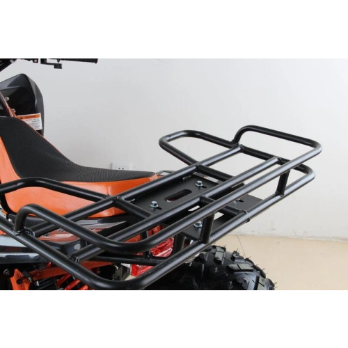 Квадроцикл MOTAX ATV T-Rex Super LUX 50 cc