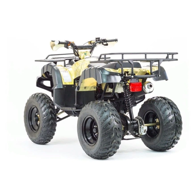 Квадроцикл MOTOLAND 250 Adventure (2021 Г.)