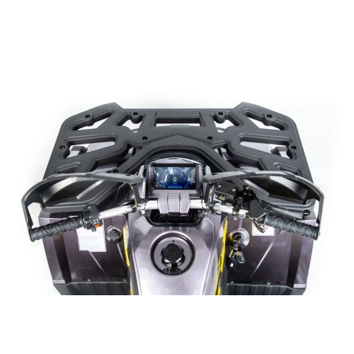 Квадроцикл MOTOLAND 200 Wild Track X Pro (2022)