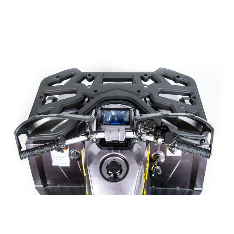 Квадроцикл MOTOLAND 200 Wild Track X Pro (2022)