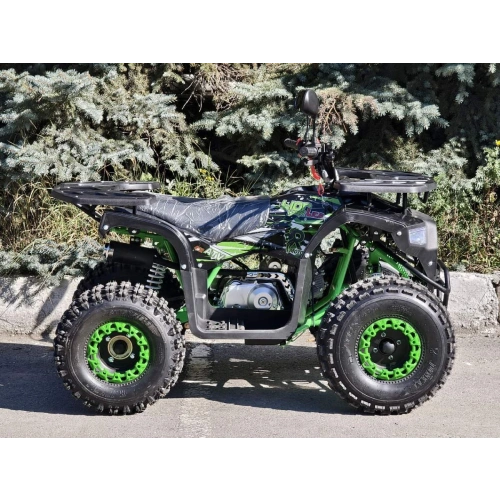 Квадроцикл RMOTO Lion 125AR Lite