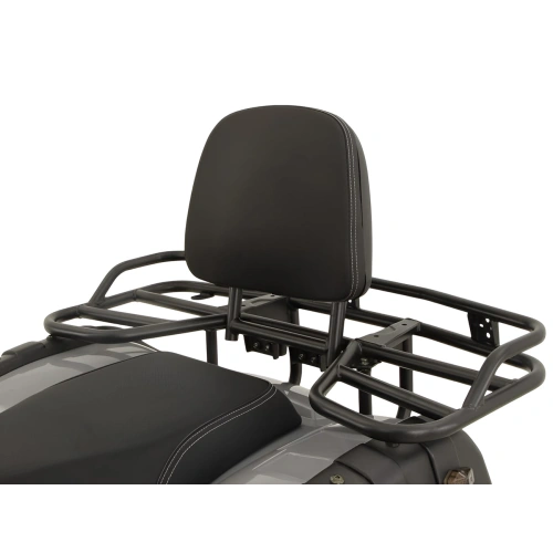 Квадроцикл GRIZZLY 200 Premium