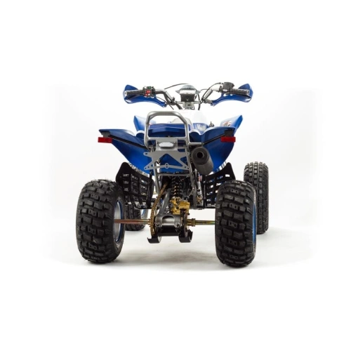 Квадроцикл MOTOLAND 250 Dakar