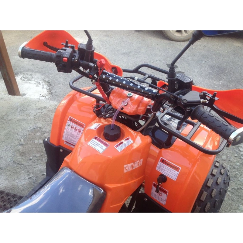 Квадроцикл ATV Termit Libre
