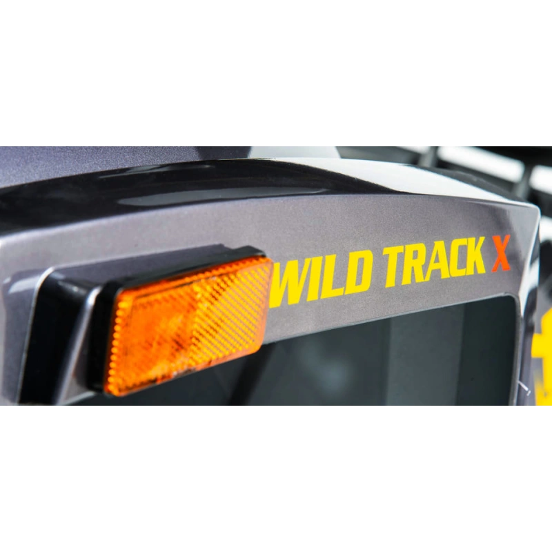 Квадроцикл MOTOLAND 200 Wild Track X Pro (2022)