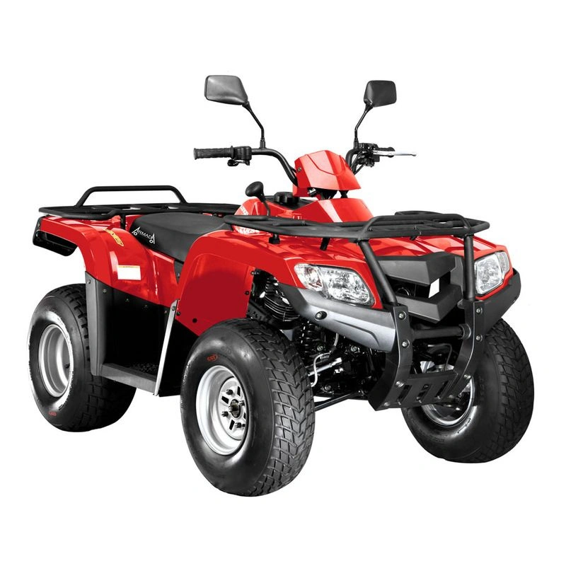 Квадроцикл ARMADA ATV 200L