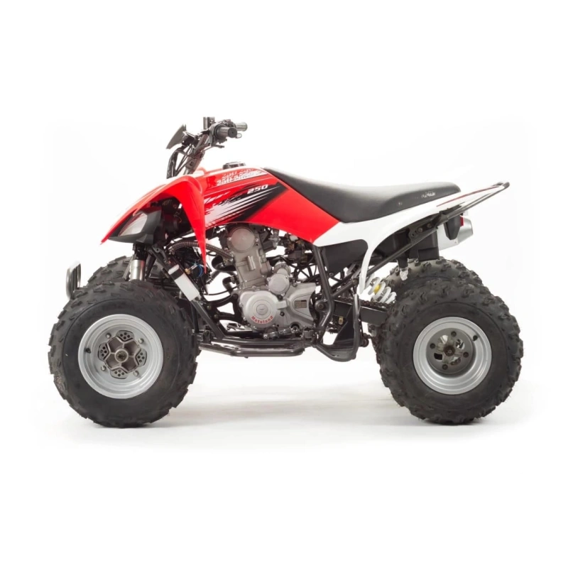 Квадроцикл MOTOLAND 250S