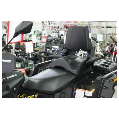Квадроцикл STELS ATV 650 G Guepard CVTech EPS (ПСМ)