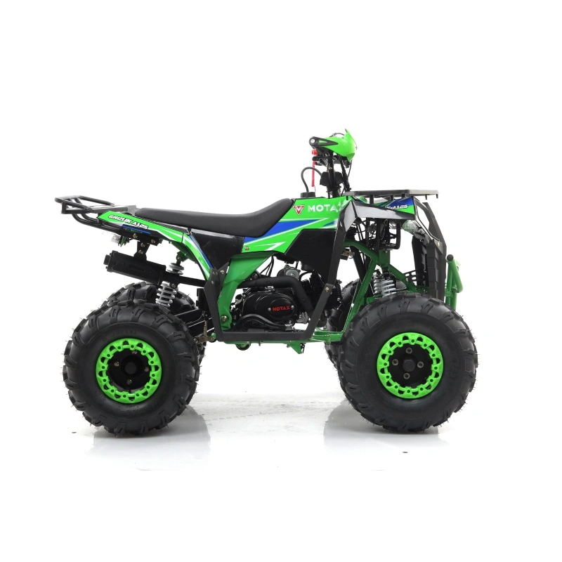 Квадроцикл MOTAX Grizlik A125