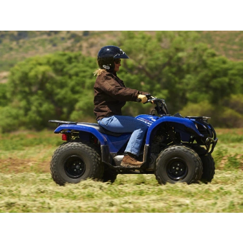 Квадроцикл GRIZZLY 125