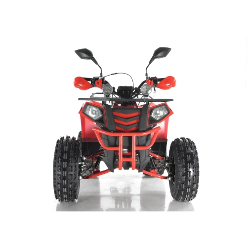 Квадроцикл RAPTOR Madman 200