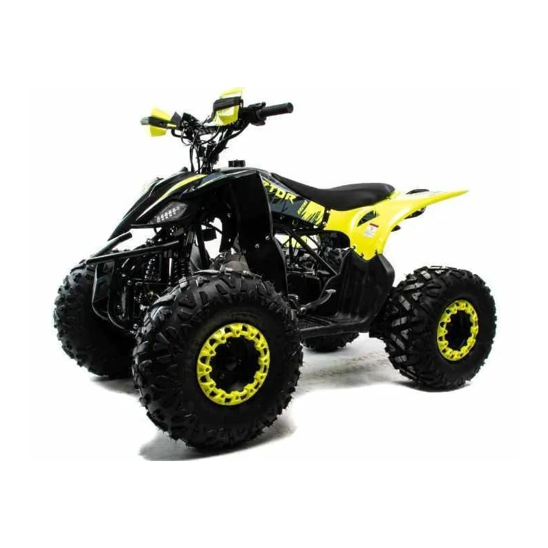 Квадроцикл MOTOLAND 125 Raptor