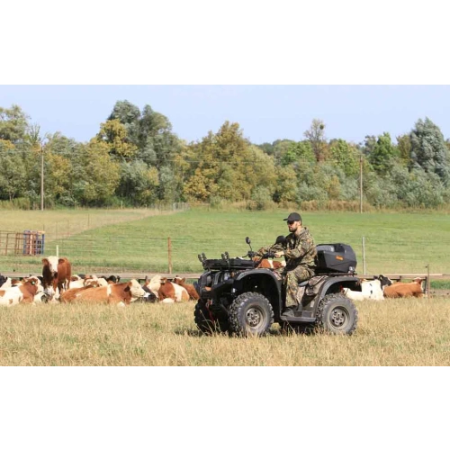 Квадроцикл BALTMOTORS Striker 700 EFI (ПСМ)