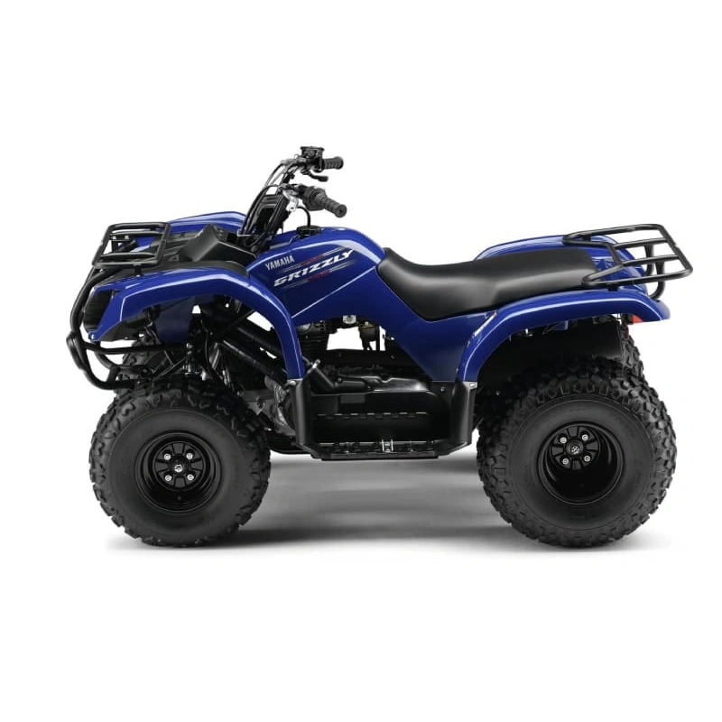 Квадроцикл GRIZZLY 125