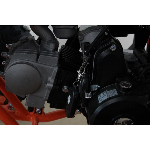 Квадроцикл MOTAX ATV T-Rex Super LUX 50 cc