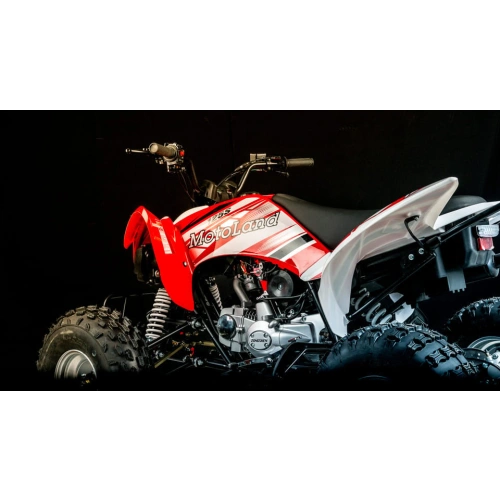 Квадроцикл MOTOLAND 250S