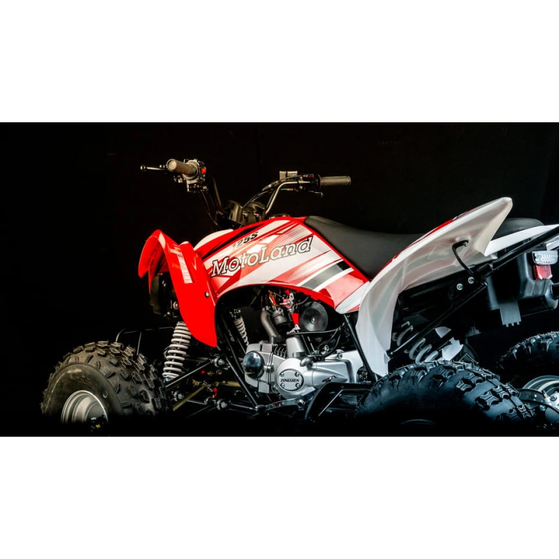 Квадроцикл MOTOLAND 250S